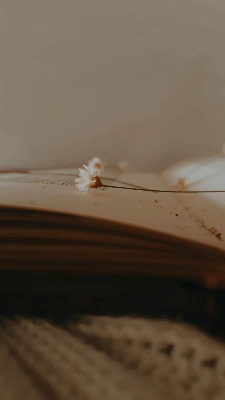 Single blog Details